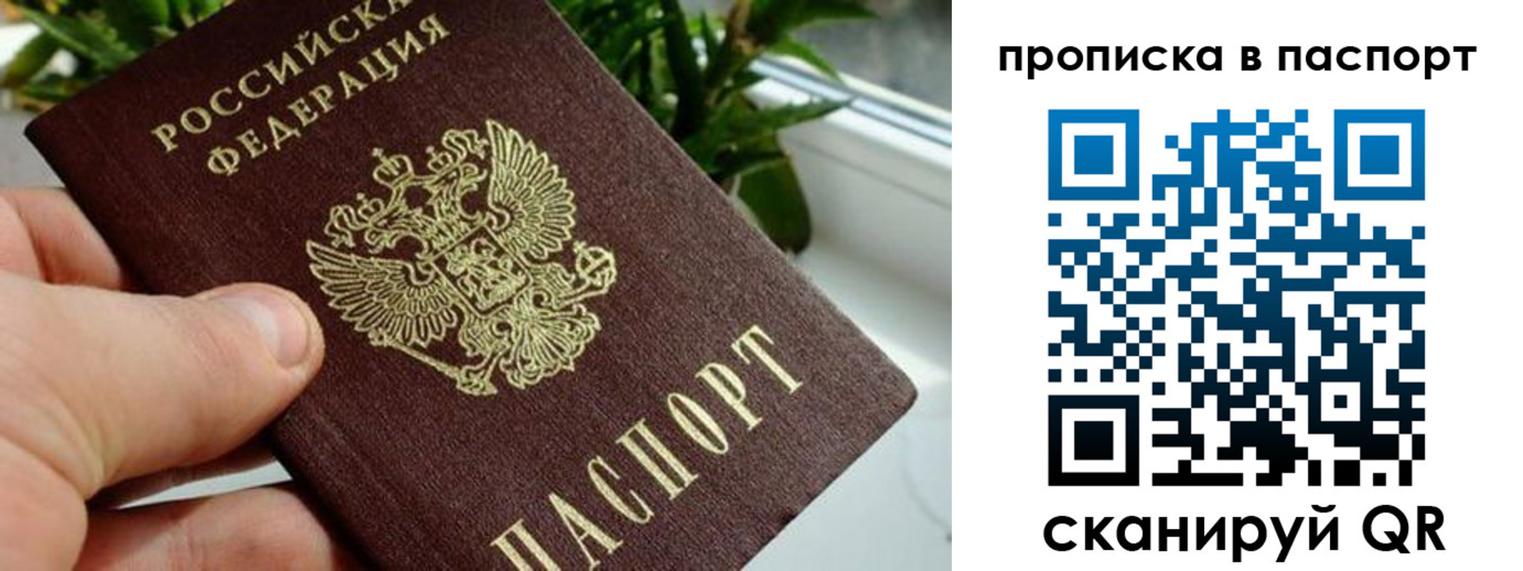 пропишу в квартире в Грязях